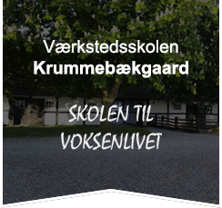 logo-1